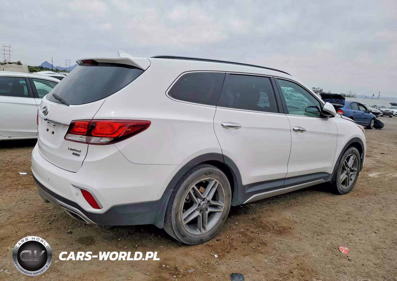 2018 Hyundai Santa Fe Limited Ultimate VIN:KM8SR4HF3JU290884 - 3