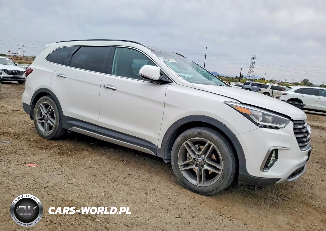 2018 Hyundai Santa Fe Limited Ultimate VIN:KM8SR4HF3JU290884 - 4