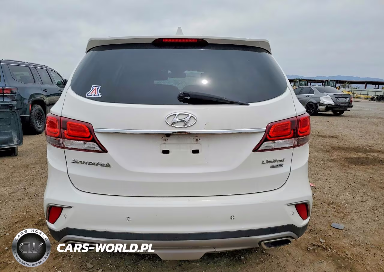 2018 Hyundai Santa Fe Limited Ultimate VIN:KM8SR4HF3JU290884 - 6