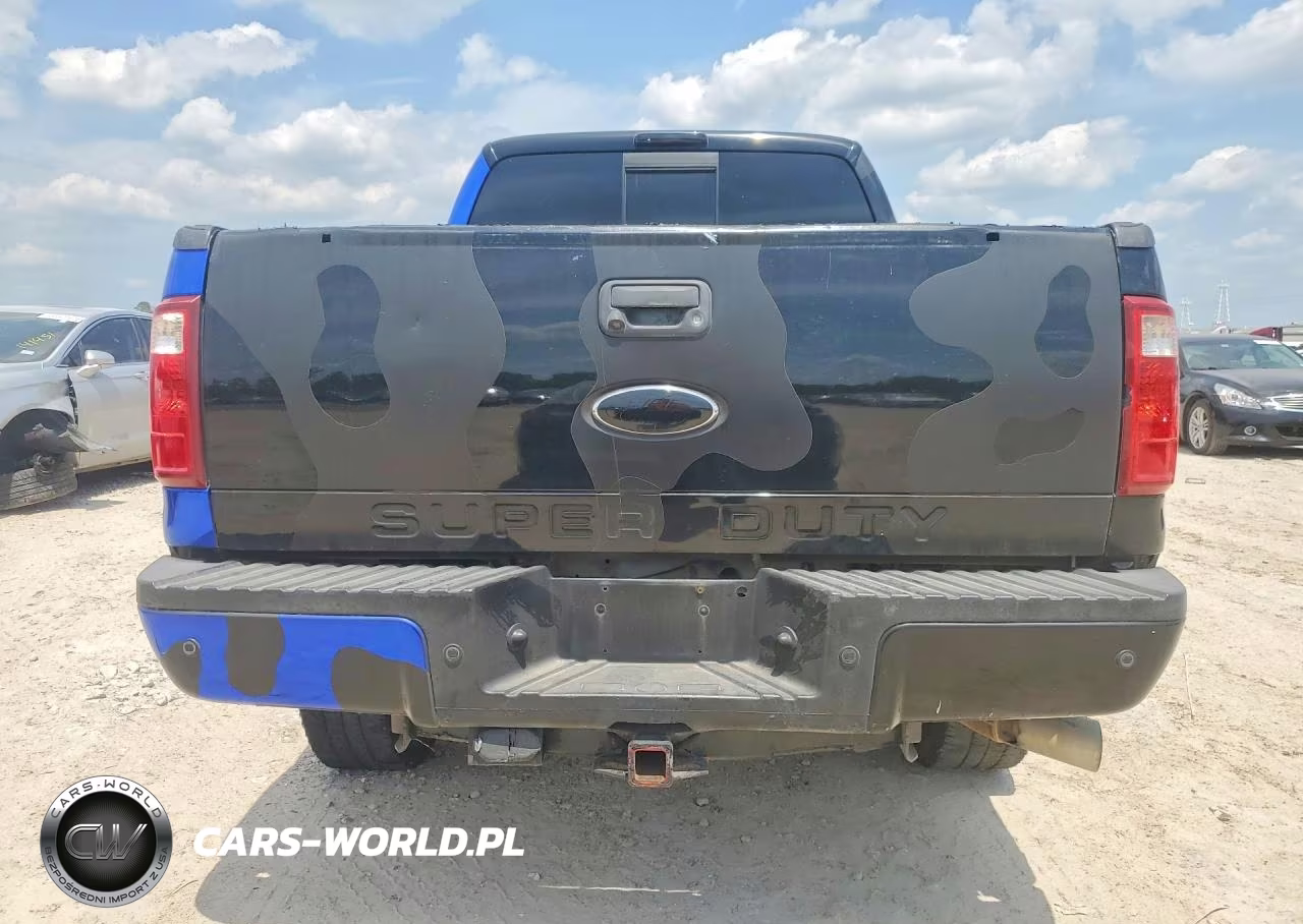 2010 Ford F350 Super Duty VIN:1FTWW3BR1AEA75302 - 6