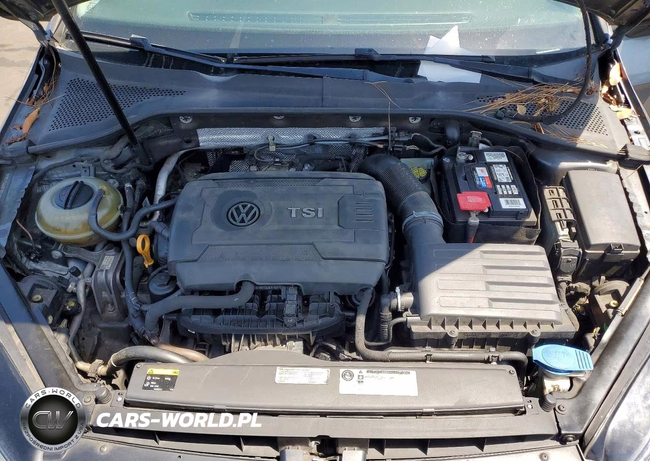 2015 Volkswagen Golf VIN:3VW217AU6FM020286 - 11