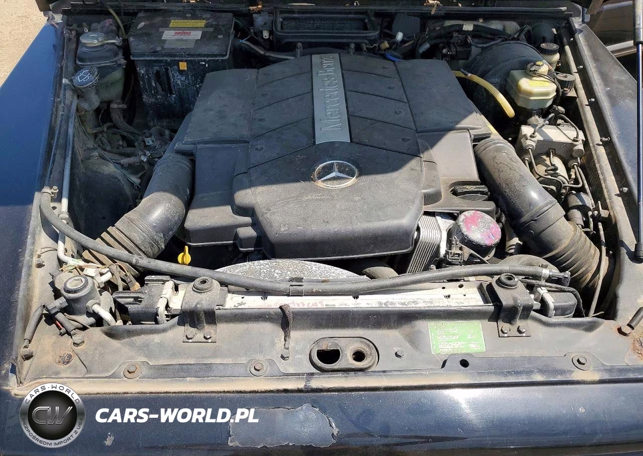 2001 Mercedes-Benz M Class-G500 VIN:WDBEG4210Z7122570 - 11