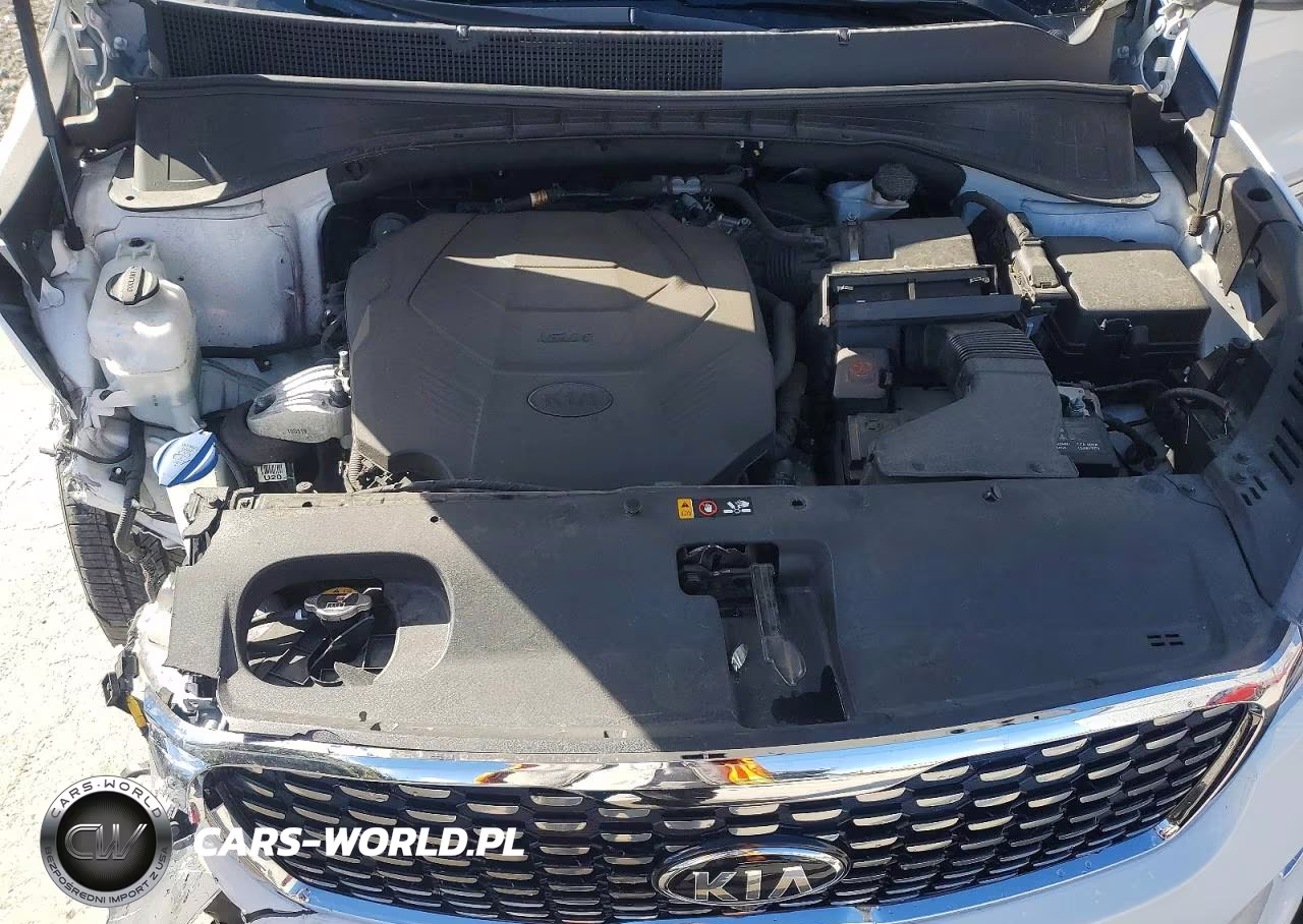 2019 Kia Sorento Sx Limited V6 VIN:5XYPKDA50KG470116 - 12