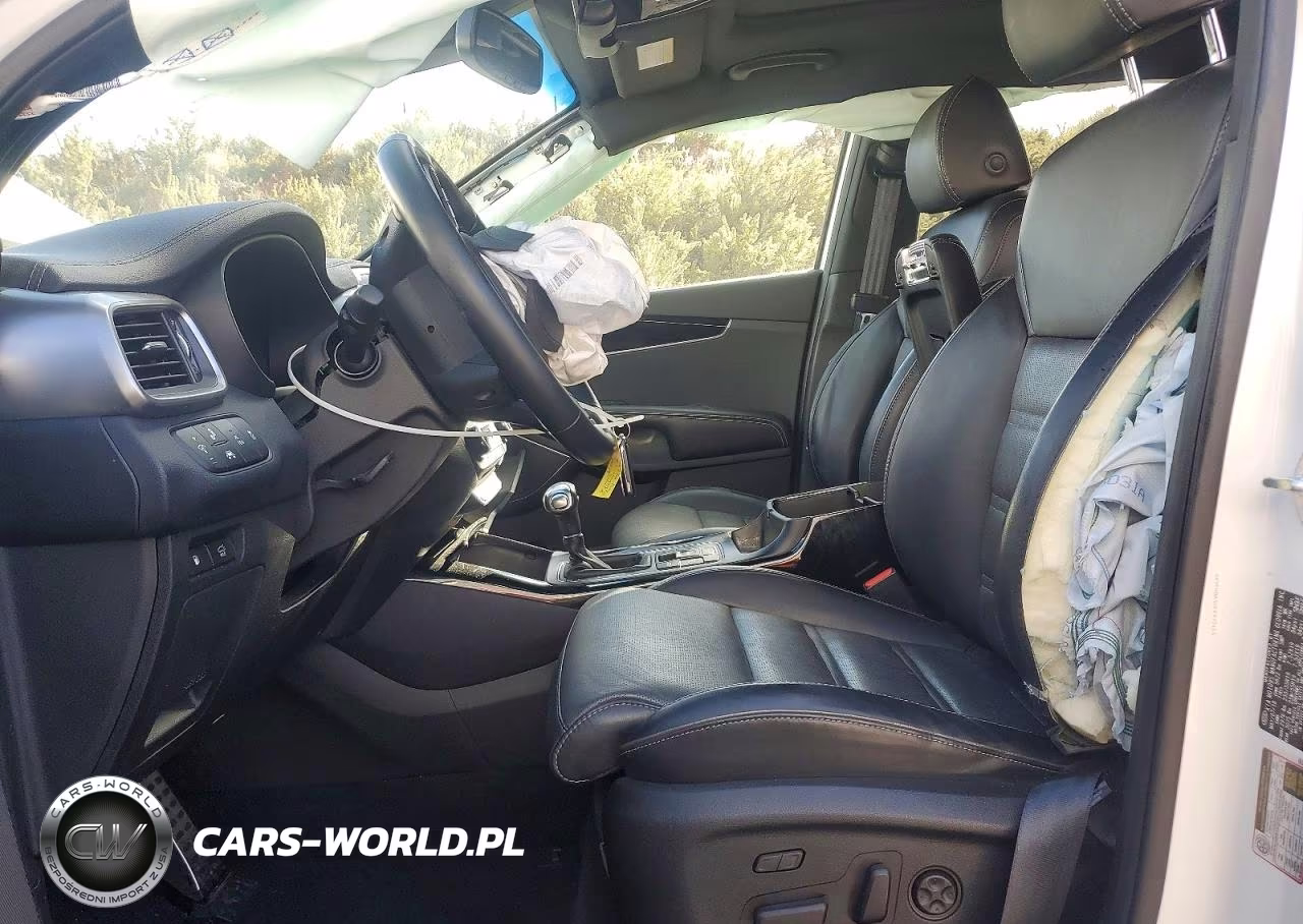2019 Kia Sorento Sx Limited V6 VIN:5XYPKDA50KG470116 - 7