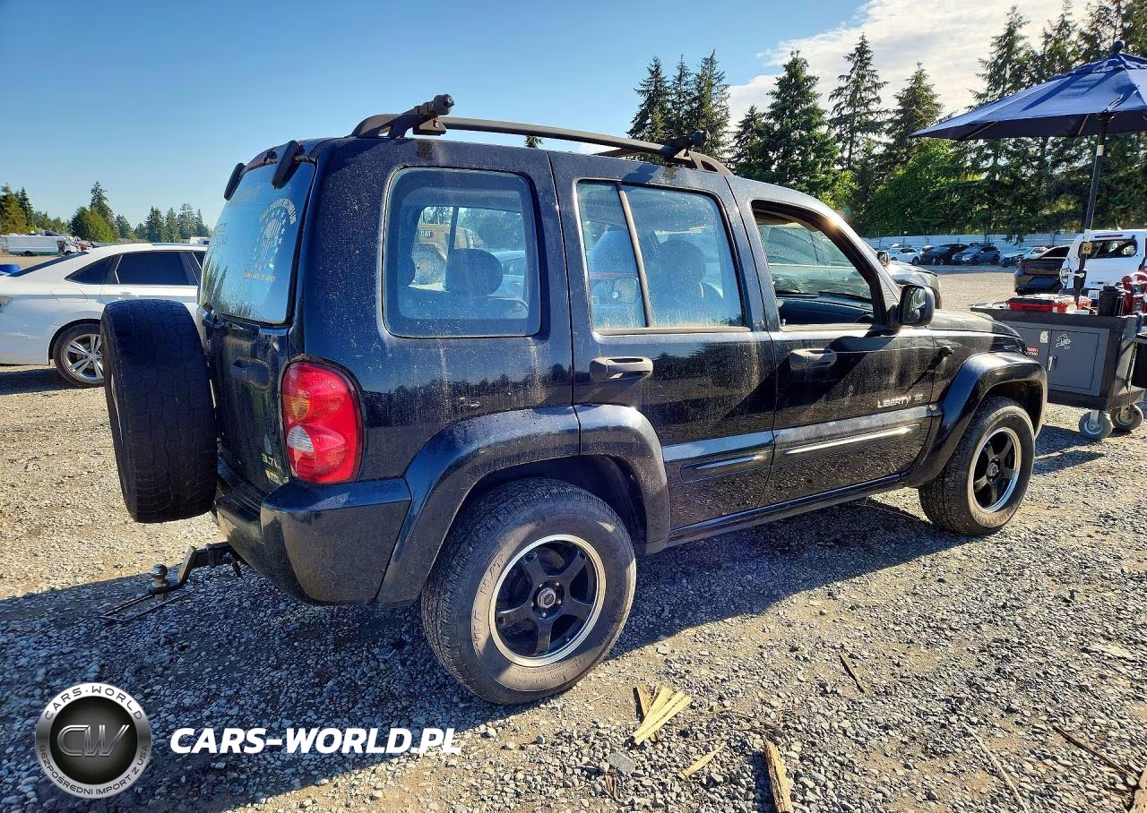2003 Jeep Liberty Limited VIN:1J4GL58K13W510958 - 3