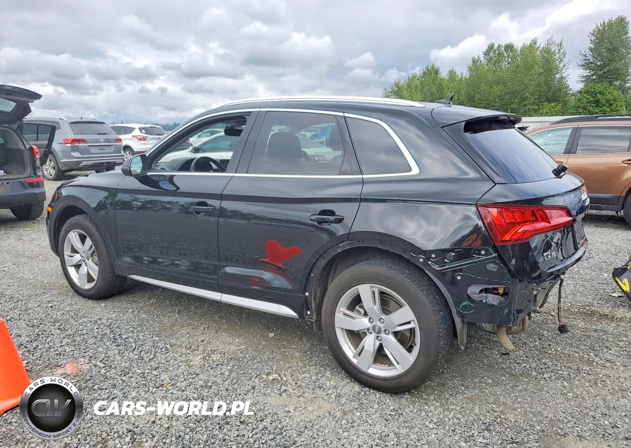 2019 Audi Q5 Premium Plus VIN:WA1BNAFY0K2064893 - 2