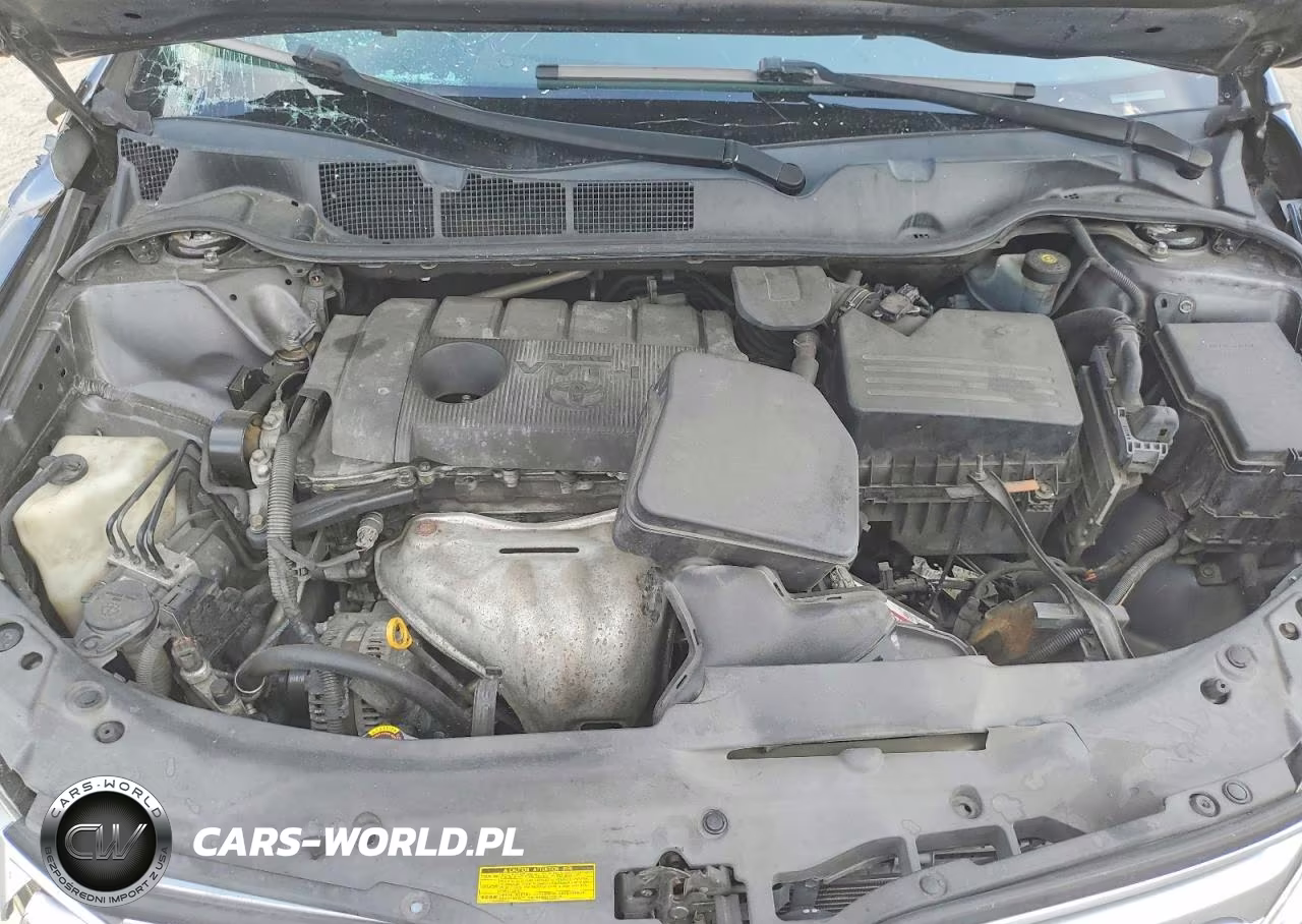 2010 Toyota Venza Fwd 4Cyl VIN:4T3ZA3BB8AU030221 - 12