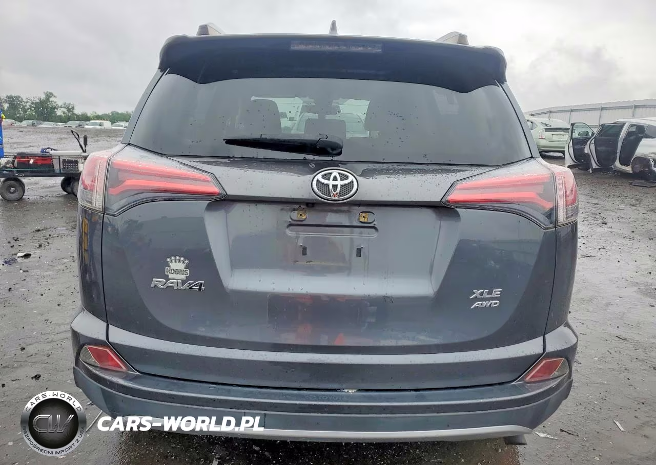 2017 Toyota Rav4 Xle VIN:JTMRFREV7HD206614 - 6