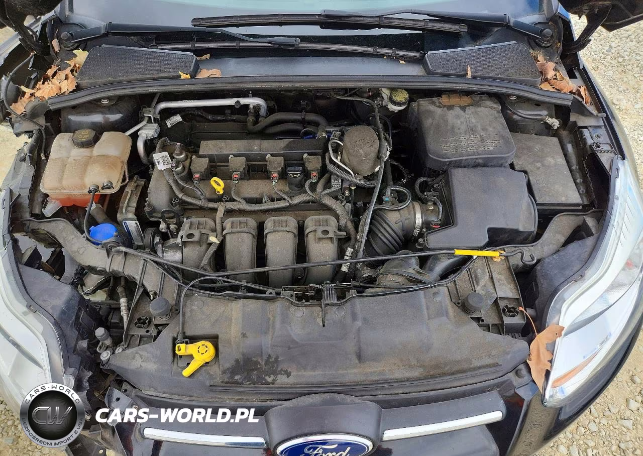 2014 Ford Focus Se VIN:1FADP3F28EL407860 - 11