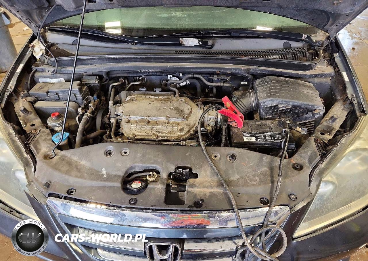 2005 Honda Odyssey Exl VIN:5FNRL387X5B043271 - 12