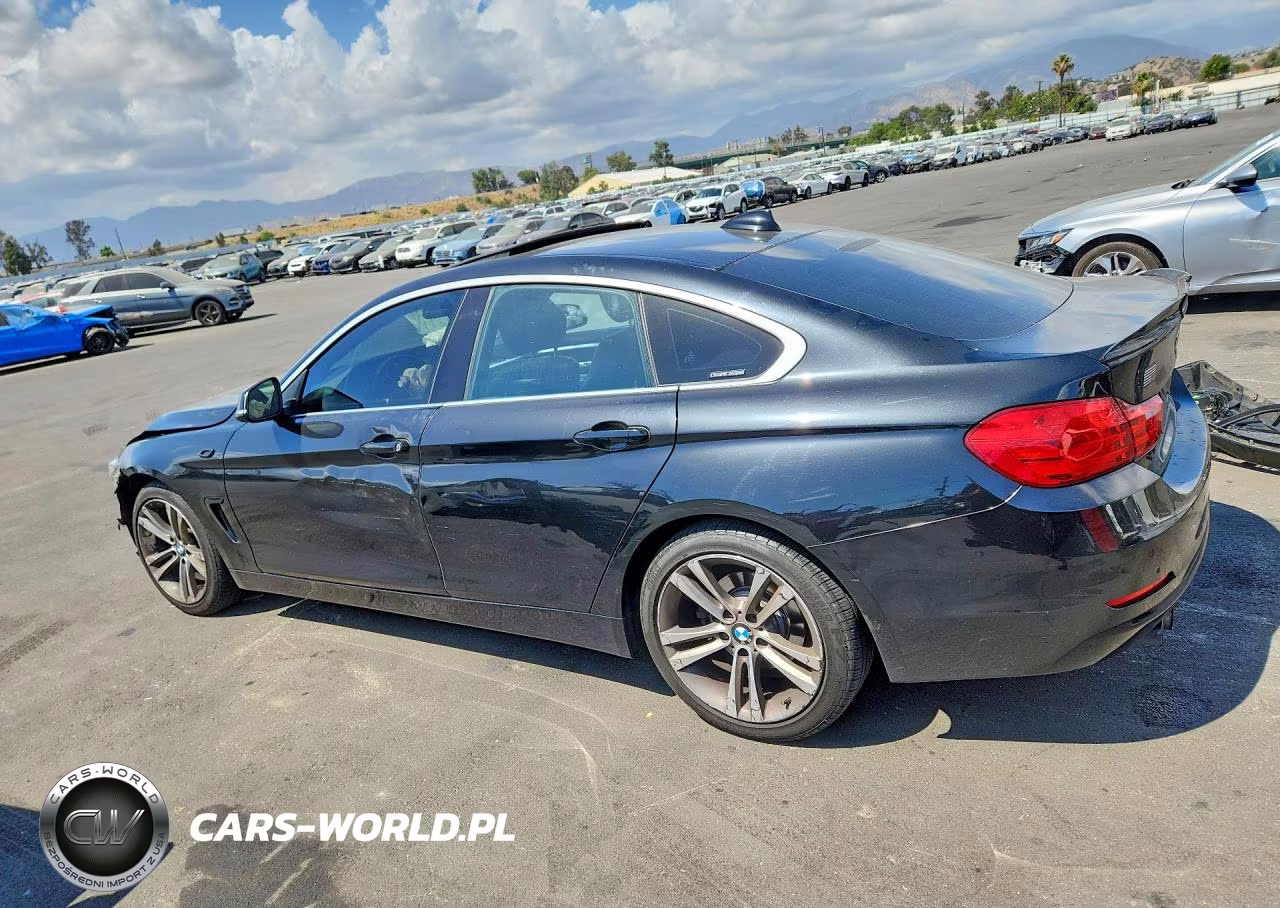 2017 BMW 430I Gran Coupe VIN:WBA4F7C39HG789313 - 2