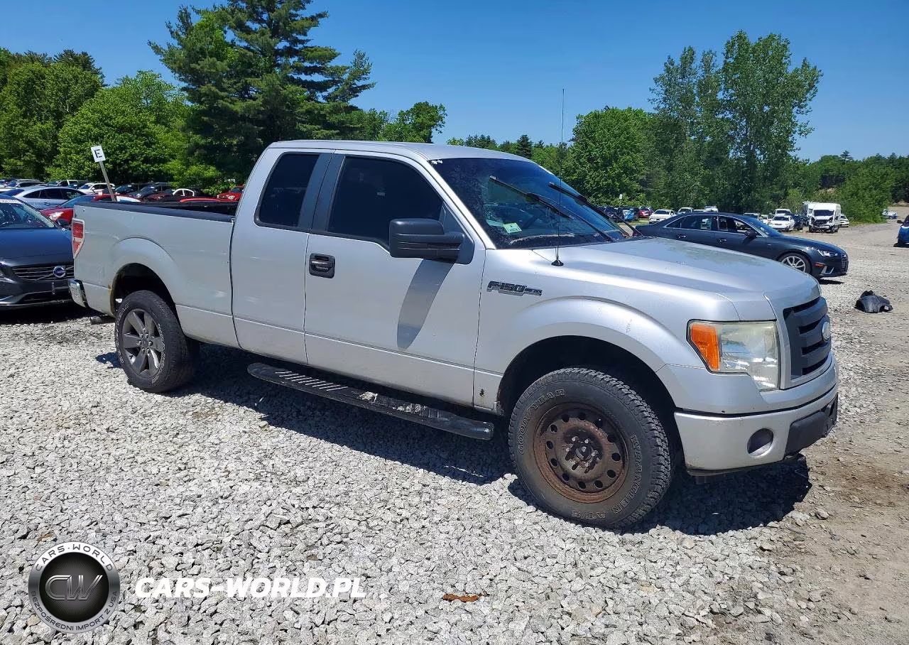 2009 Ford F150 Super Cab VIN:1FTRX14W79FA49293 - 4