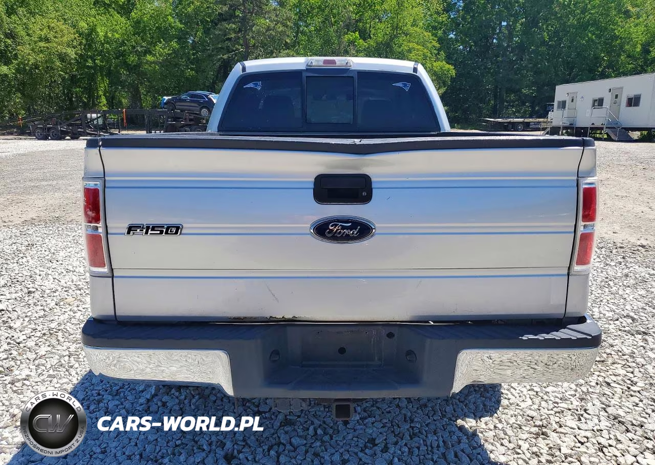 2009 Ford F150 Super Cab VIN:1FTRX14W79FA49293 - 6