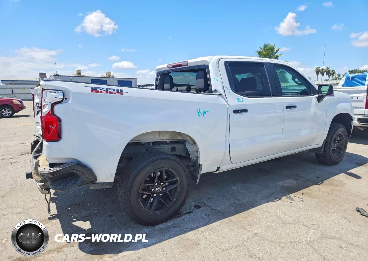 2019 Chevrolet Silverado K1500 Lt Trail Boss VIN:1GCPYFED3KZ260865 - 3