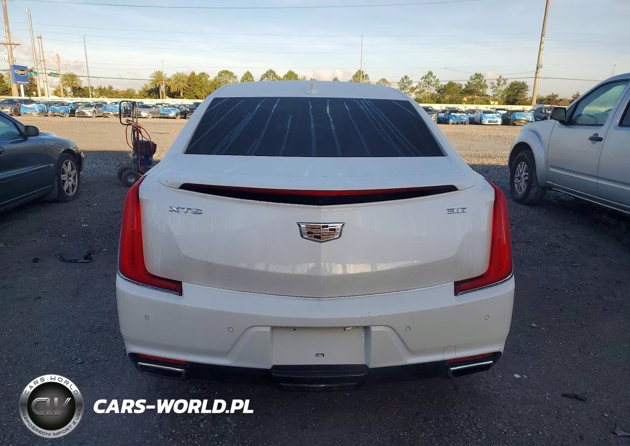 2019 Cadillac Xts Luxury VIN:2G61M5S32K9118298 - 6