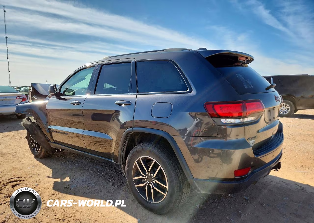 2019 Jeep Grand Cherokee Trailhawk VIN:1C4RJFLT9KC612535 - 2