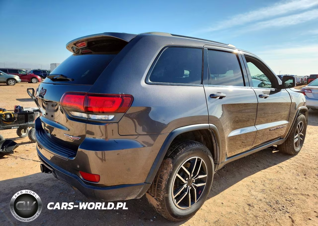2019 Jeep Grand Cherokee Trailhawk VIN:1C4RJFLT9KC612535 - 3