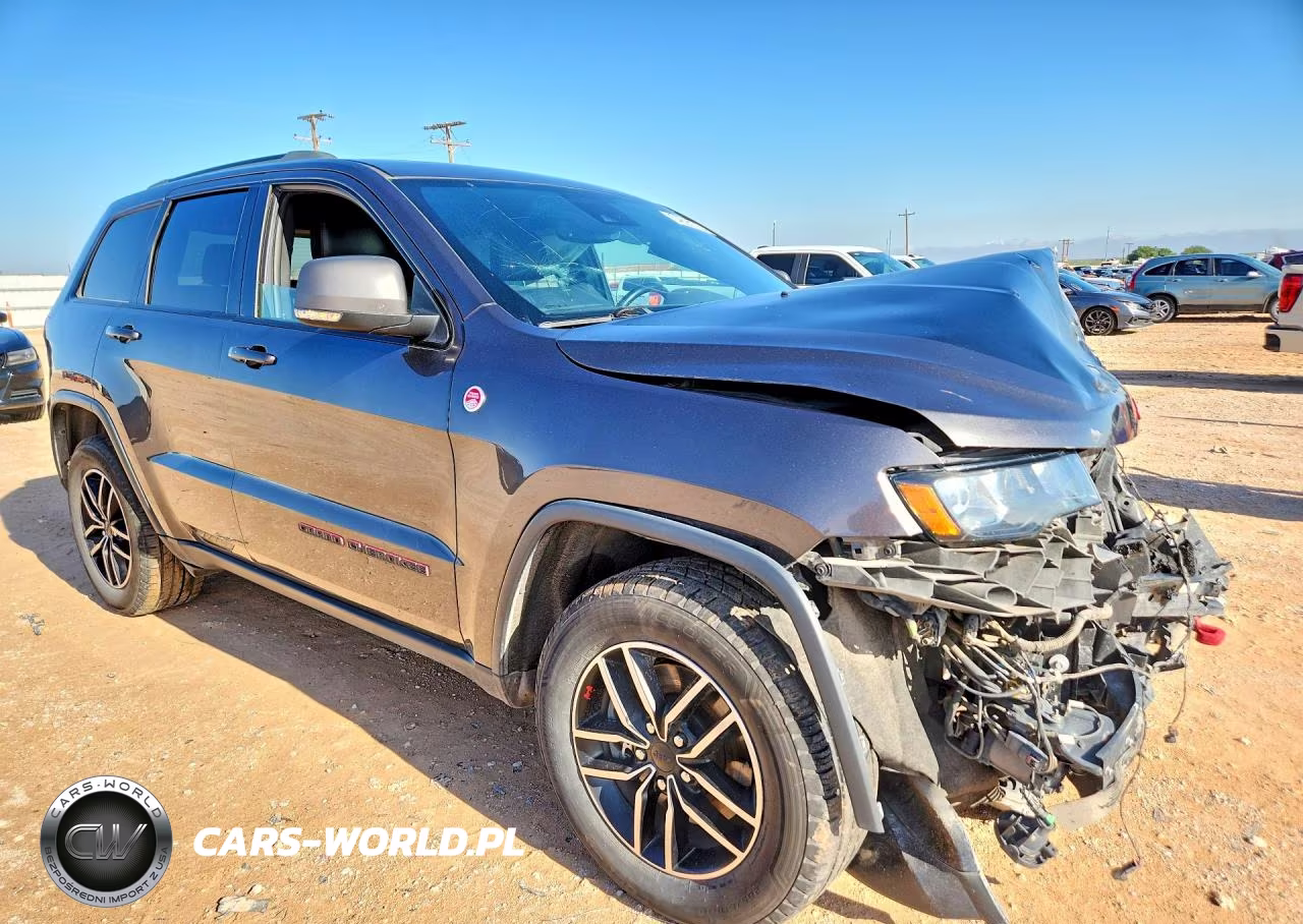 2019 Jeep Grand Cherokee Trailhawk VIN:1C4RJFLT9KC612535 - 4