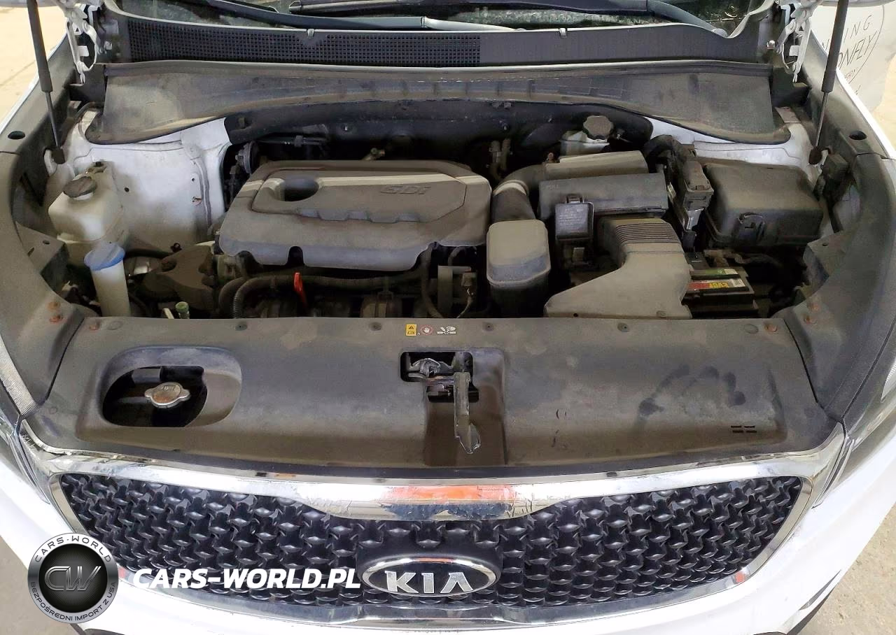 2016 Kia Sorento Lx VIN:5XYPGDA35GG047183 - 12
