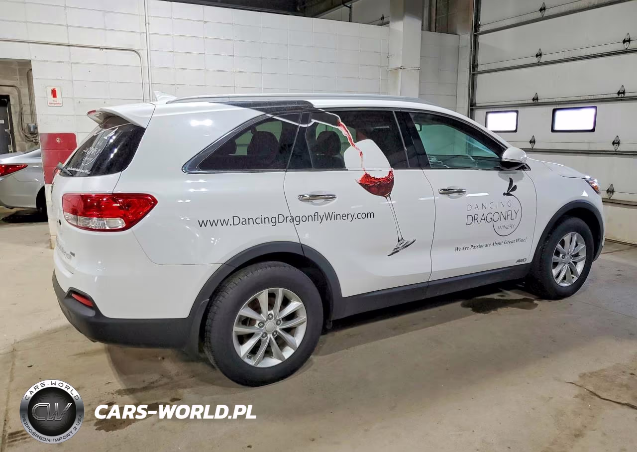 2016 Kia Sorento Lx VIN:5XYPGDA35GG047183 - 3