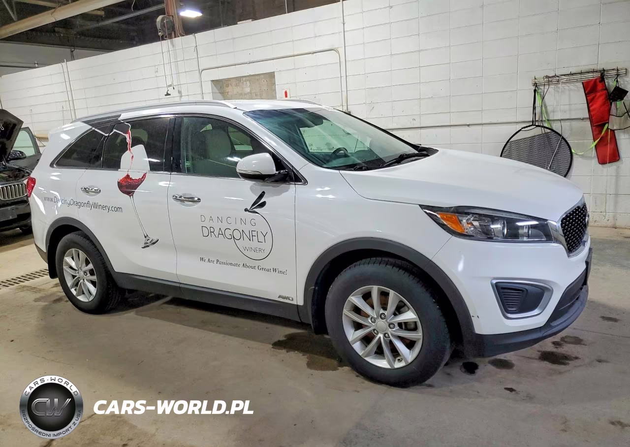 2016 Kia Sorento Lx VIN:5XYPGDA35GG047183 - 4