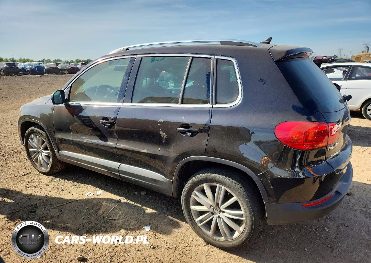 2013 Volkswagen Tiguan S VIN:WVGAV7AX2DW555461 - 2