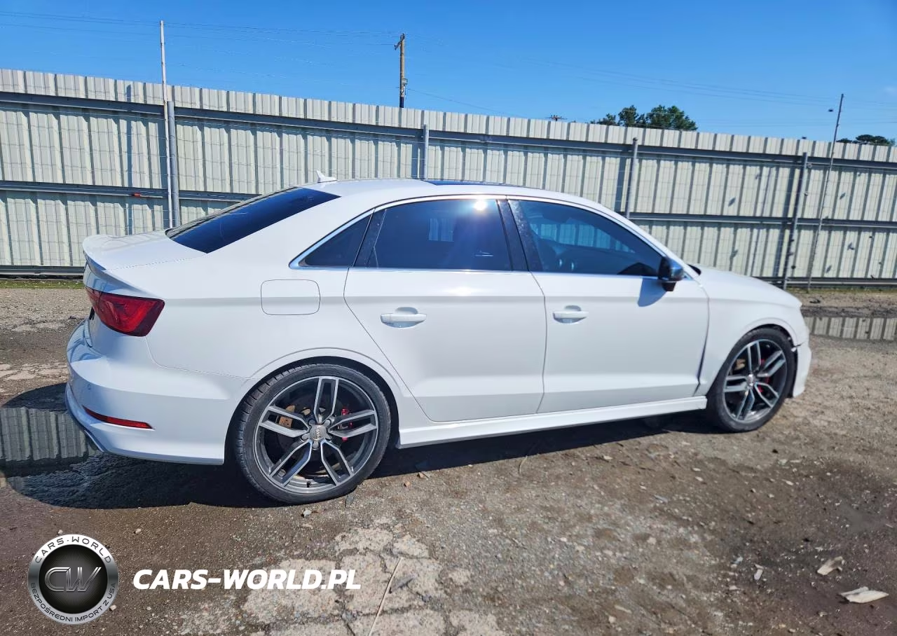 2016 Audi S3 Premium Plus VIN:WAUB1GFF1G1100166 - 3