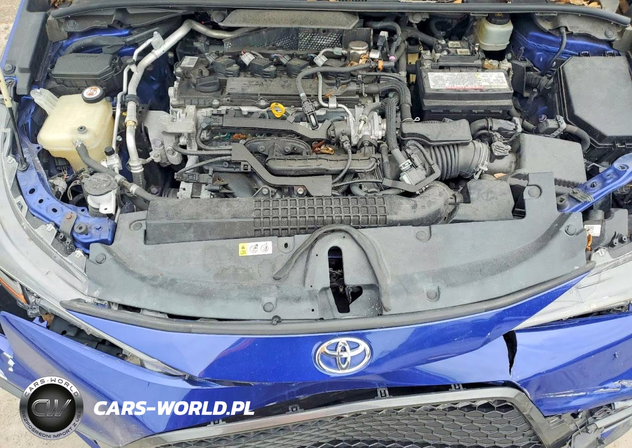 2020 Toyota Corolla Se VIN:JTDS4RCE7LJ036145 - 11