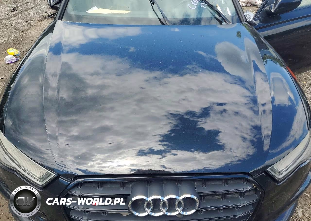 2016 Audi S6 Premium Plus VIN:WAUF2AFC4GN190469 - 11