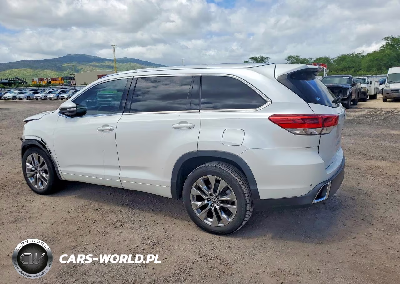 2019 Toyota Highlander Limited VIN:5TDYZRFH2KS329101 - 2