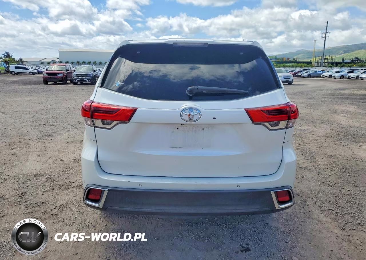 2019 Toyota Highlander Limited VIN:5TDYZRFH2KS329101 - 6