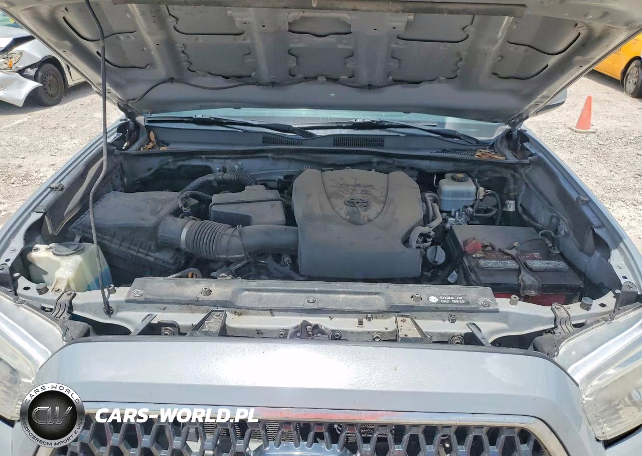 2019 Toyota Tacoma Trd Off-Road VIN:5TFSZ5AN5KX183945 - 11