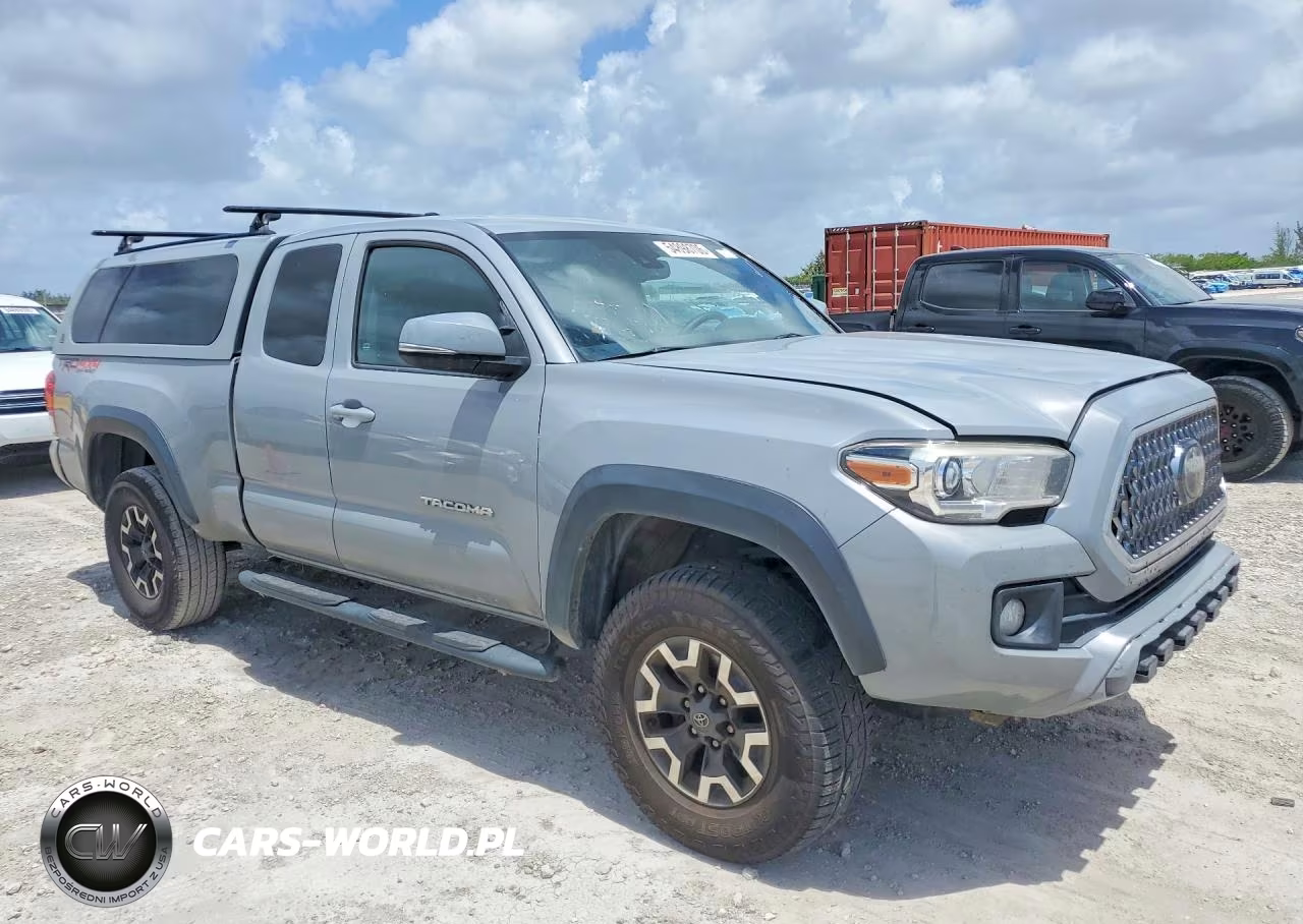 2019 Toyota Tacoma Trd Off-Road VIN:5TFSZ5AN5KX183945 - 4