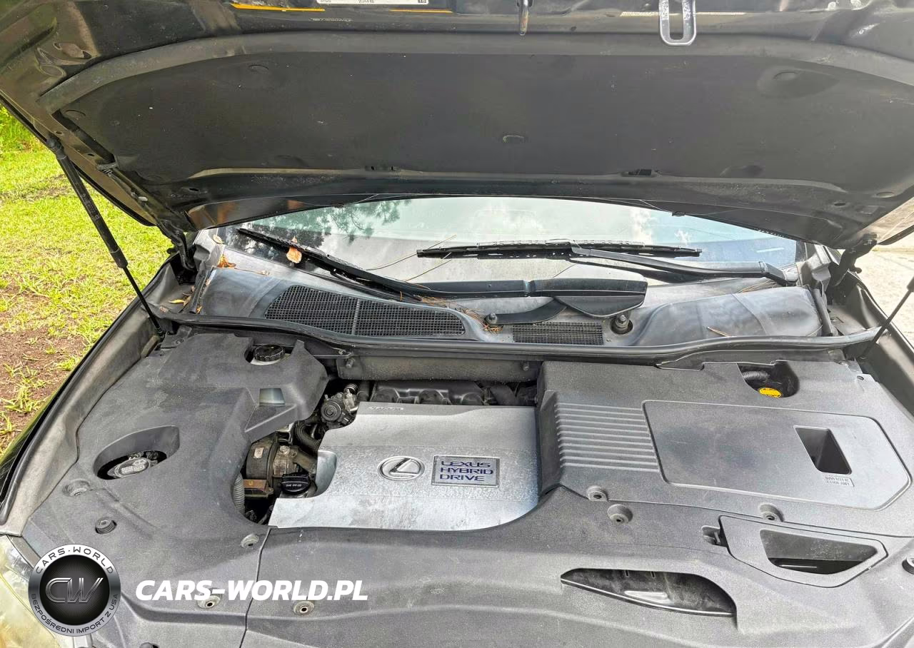 2010 Lexus Rx 450H VIN:JTJZB1BA8A2004149 - 7