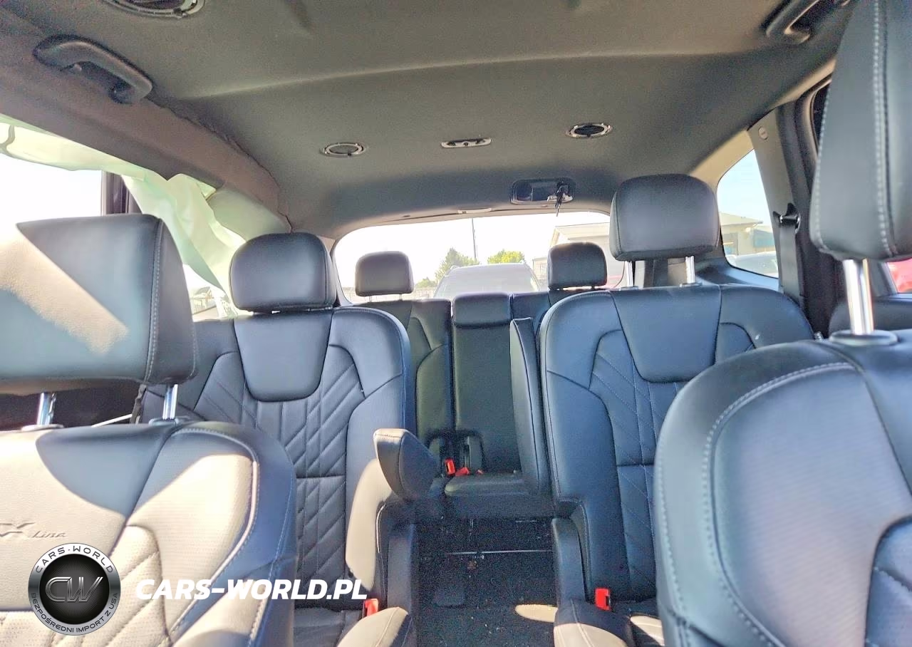 2025 Kia Telluride Ex X-Line VIN:5XYP3DGC9SG641433 - 10
