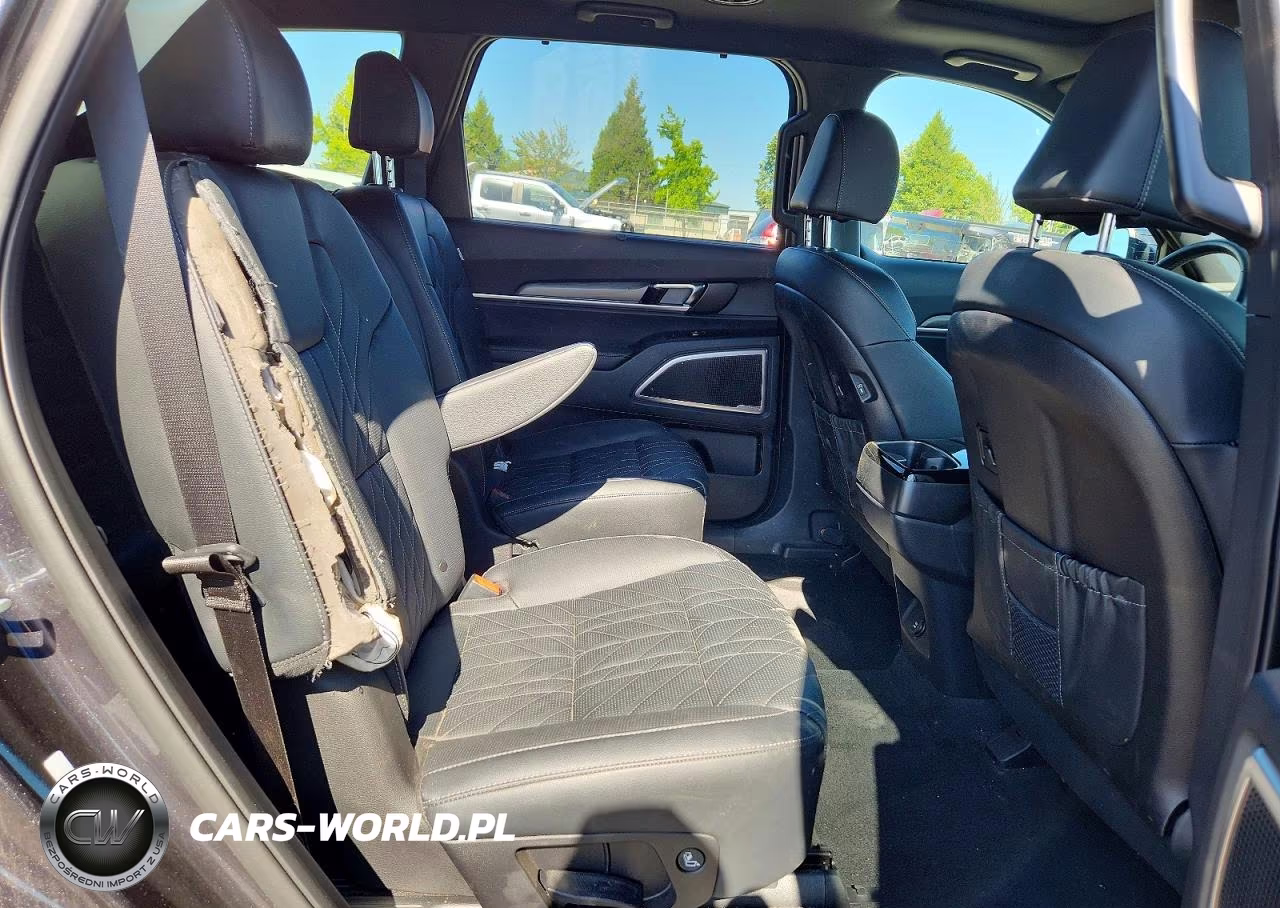 2025 Kia Telluride Ex X-Line VIN:5XYP3DGC9SG641433 - 11