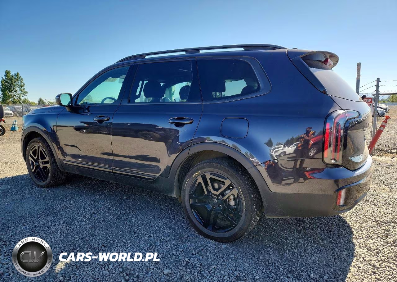 2025 Kia Telluride Ex X-Line VIN:5XYP3DGC9SG641433 - 2