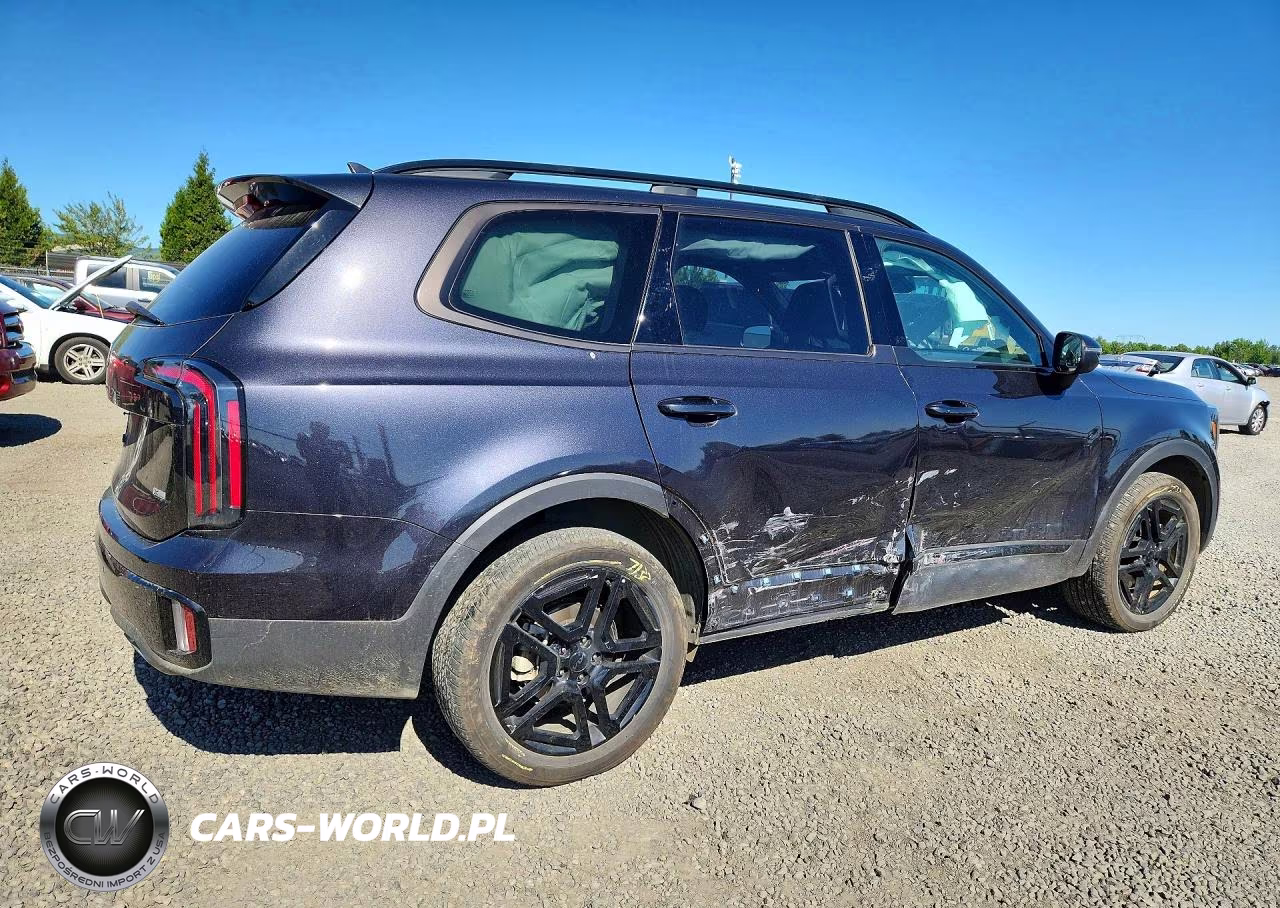 2025 Kia Telluride Ex X-Line VIN:5XYP3DGC9SG641433 - 3