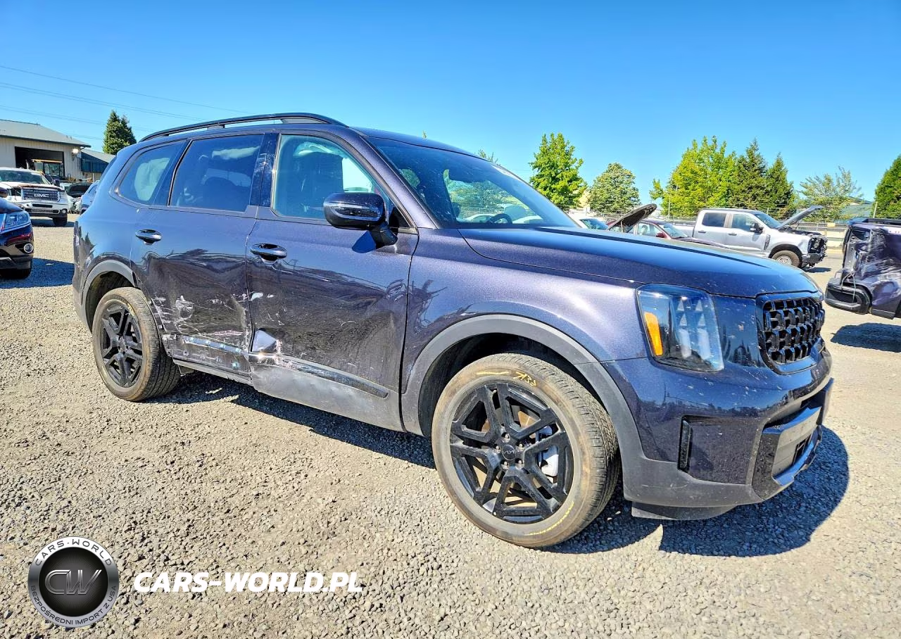 2025 Kia Telluride Ex X-Line VIN:5XYP3DGC9SG641433 - 4