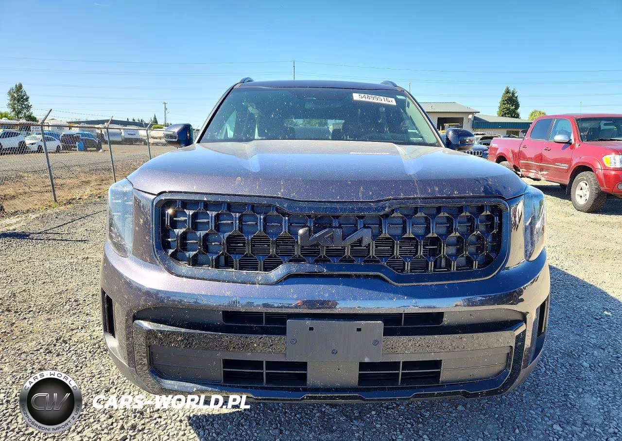 2025 Kia Telluride Ex X-Line VIN:5XYP3DGC9SG641433 - 5