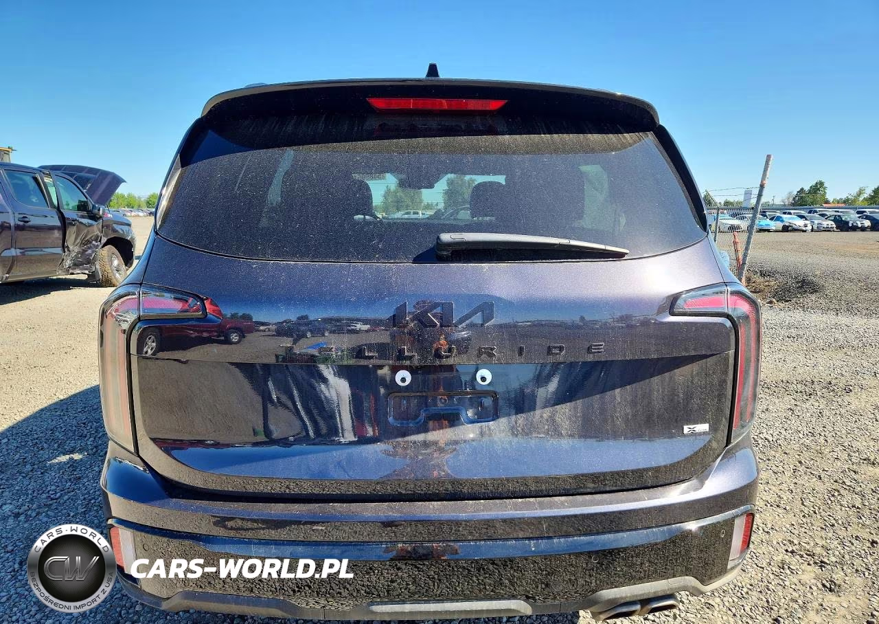 2025 Kia Telluride Ex X-Line VIN:5XYP3DGC9SG641433 - 6