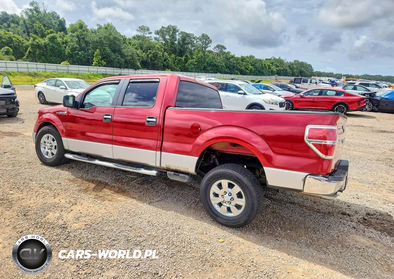 2009 Ford F150 Supercrew VIN:1FTRW12839FA76000 - 2