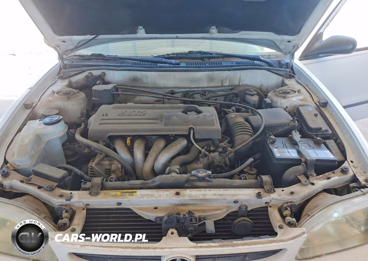 2000 Toyota Corolla Ve VIN:2T1BR12E4YC310506 - 11