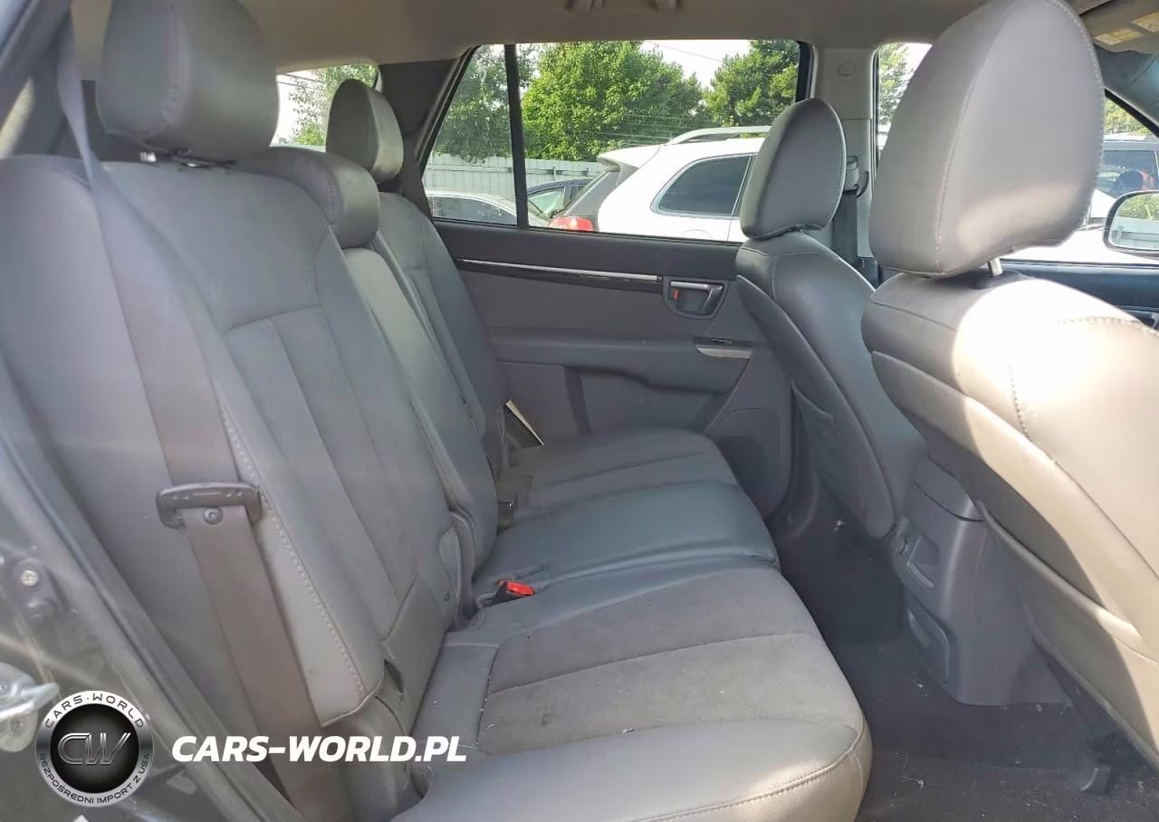 2010 Hyundai Santa Fe Se VIN:5NMSH4AG0AH355014 - 11