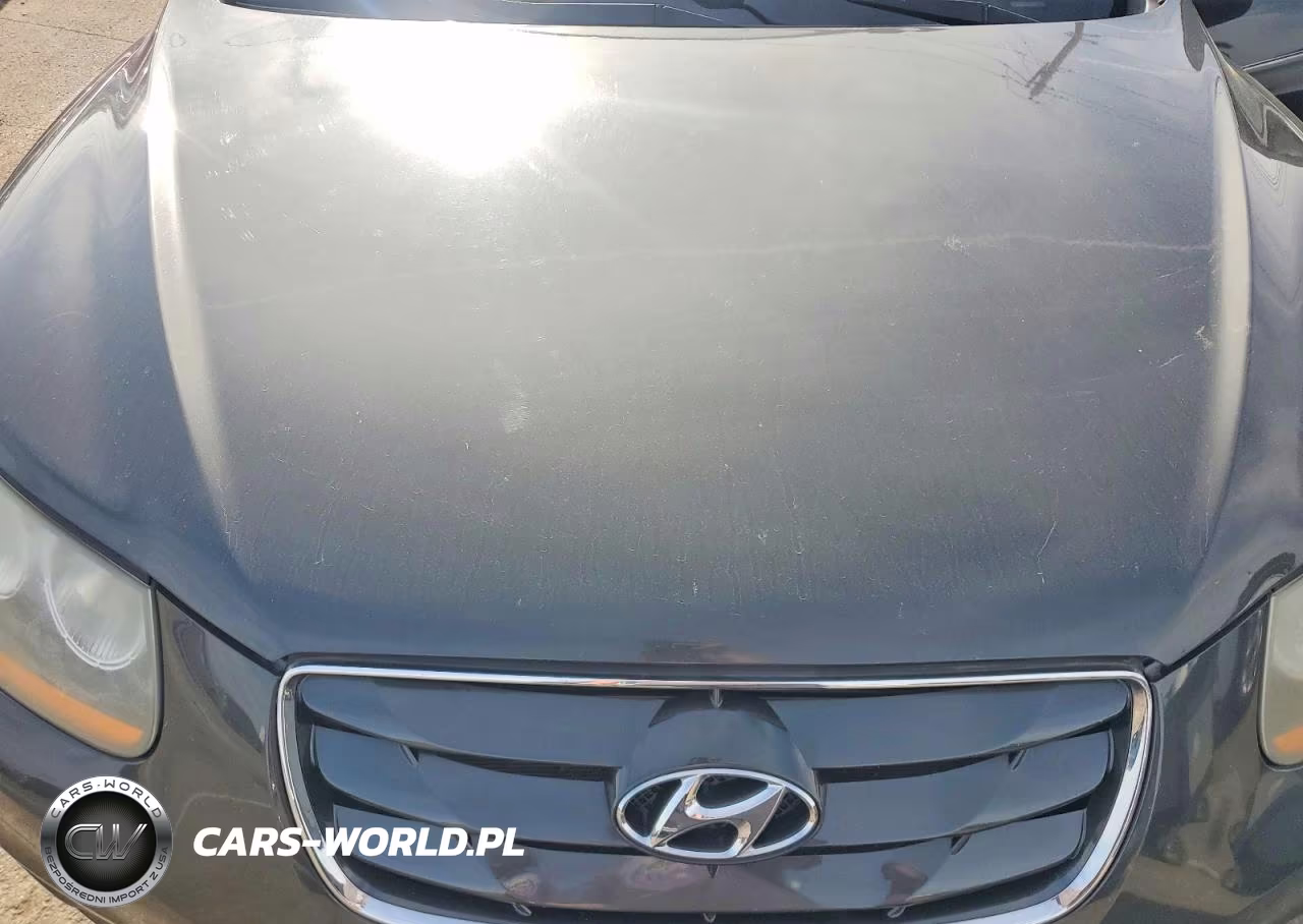 2010 Hyundai Santa Fe Se VIN:5NMSH4AG0AH355014 - 12