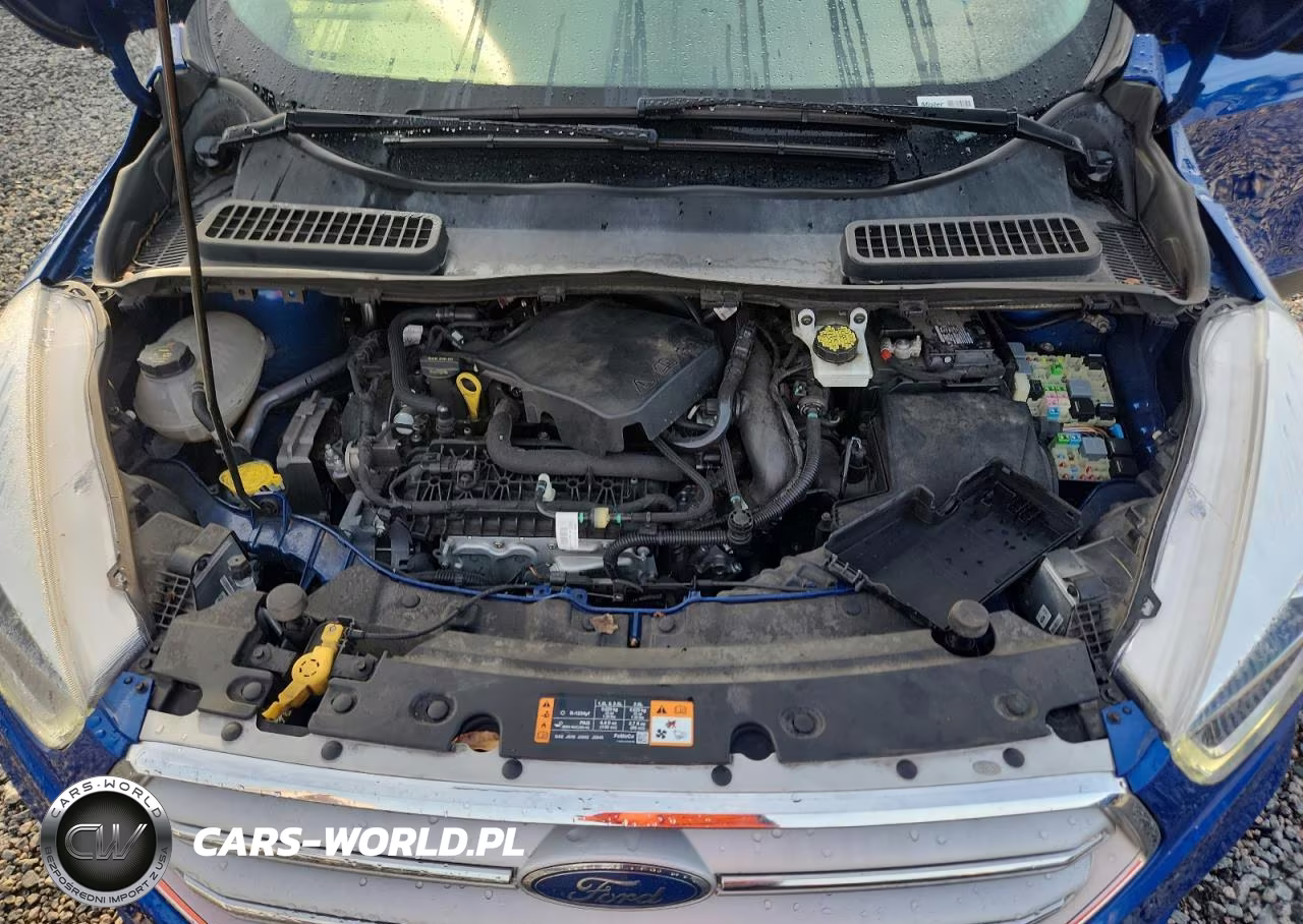 2019 Ford Escape Sel VIN:1FMCU0HD7KUA12159 - 12
