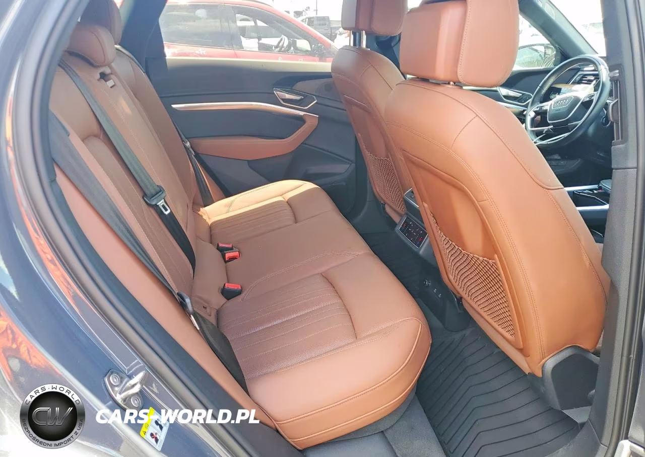 2024 Audi Q8 E-Tron Premium Plus VIN:WA15AAGE3RB040594 - 10
