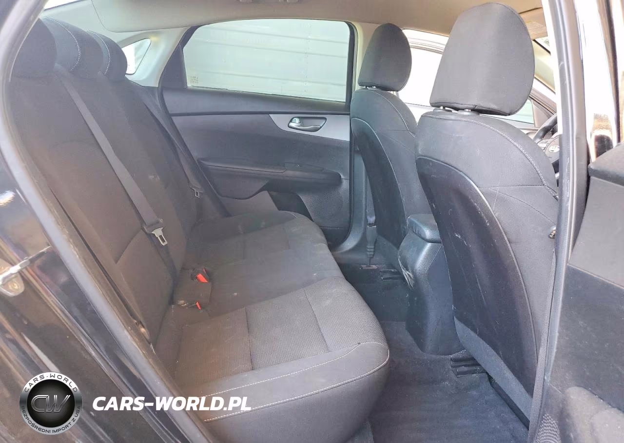 2019 Kia Forte Fe VIN:3KPF24AD7KE110079 - 10