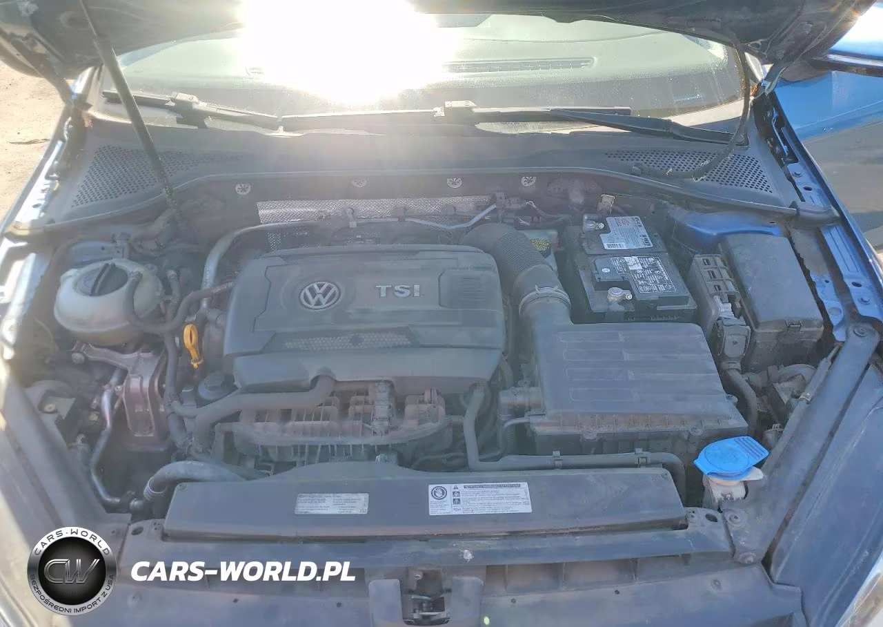 2015 Volkswagen Golf VIN:3VW217AU1FM067077 - 11