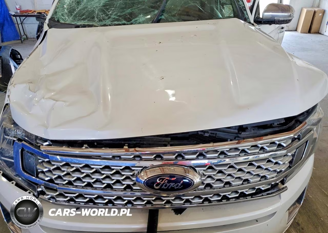 2019 Ford Expedition Max Platinum VIN:1FMJK1MT4KEA88660 - 12